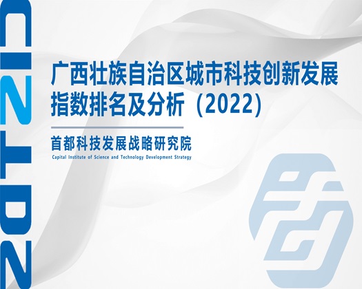 小学生扣逼高潮【成果发布】广西壮族自治区城市科技创新发展指数排名及分析（2022）